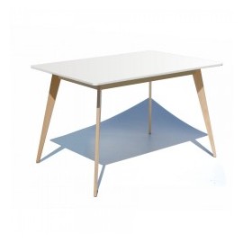 Mesa Praktika 80x120
